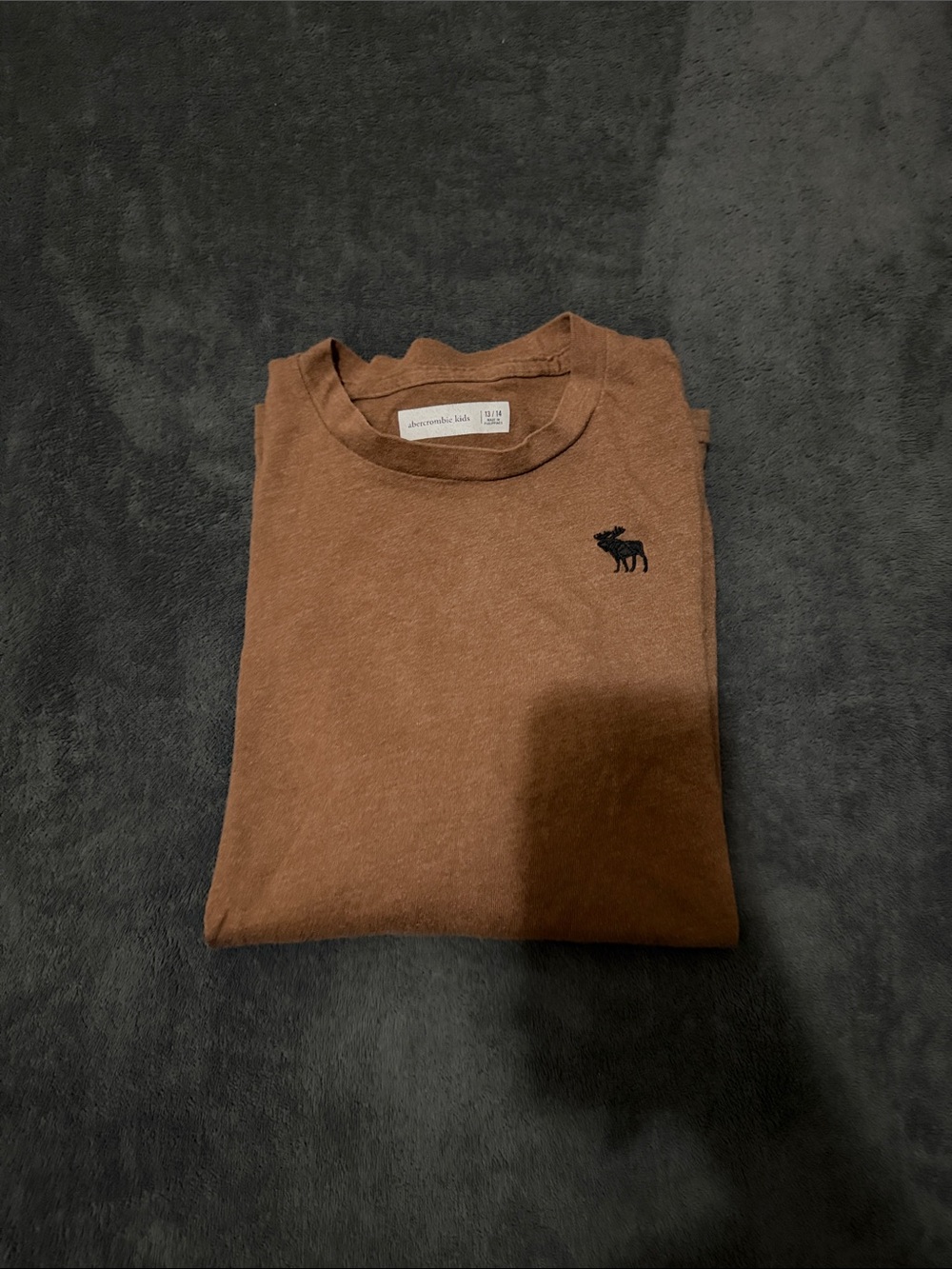 Abercrombie & Fitch Brown Long Sleeve Kids Crewneck Tee